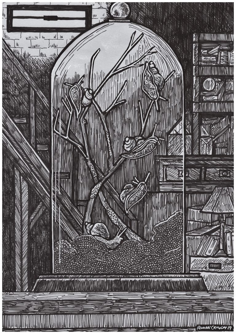 black ink drawing of a bel jar with twigs and snails in a basement, by Ronan Crowley