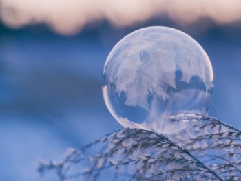 A frozen bubble, on a frozen tree branch