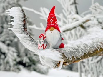 A grey and bearded felt gnome with presents, on a snowy tree branch, as a welcome